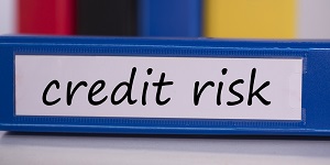 credit risk.jpg